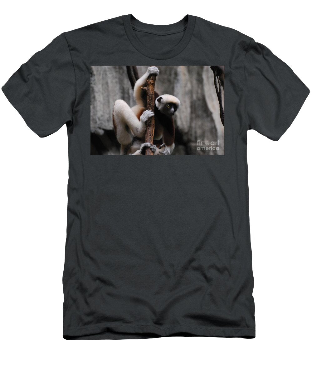 1 Safika Lemur Dr Management T-Shirt