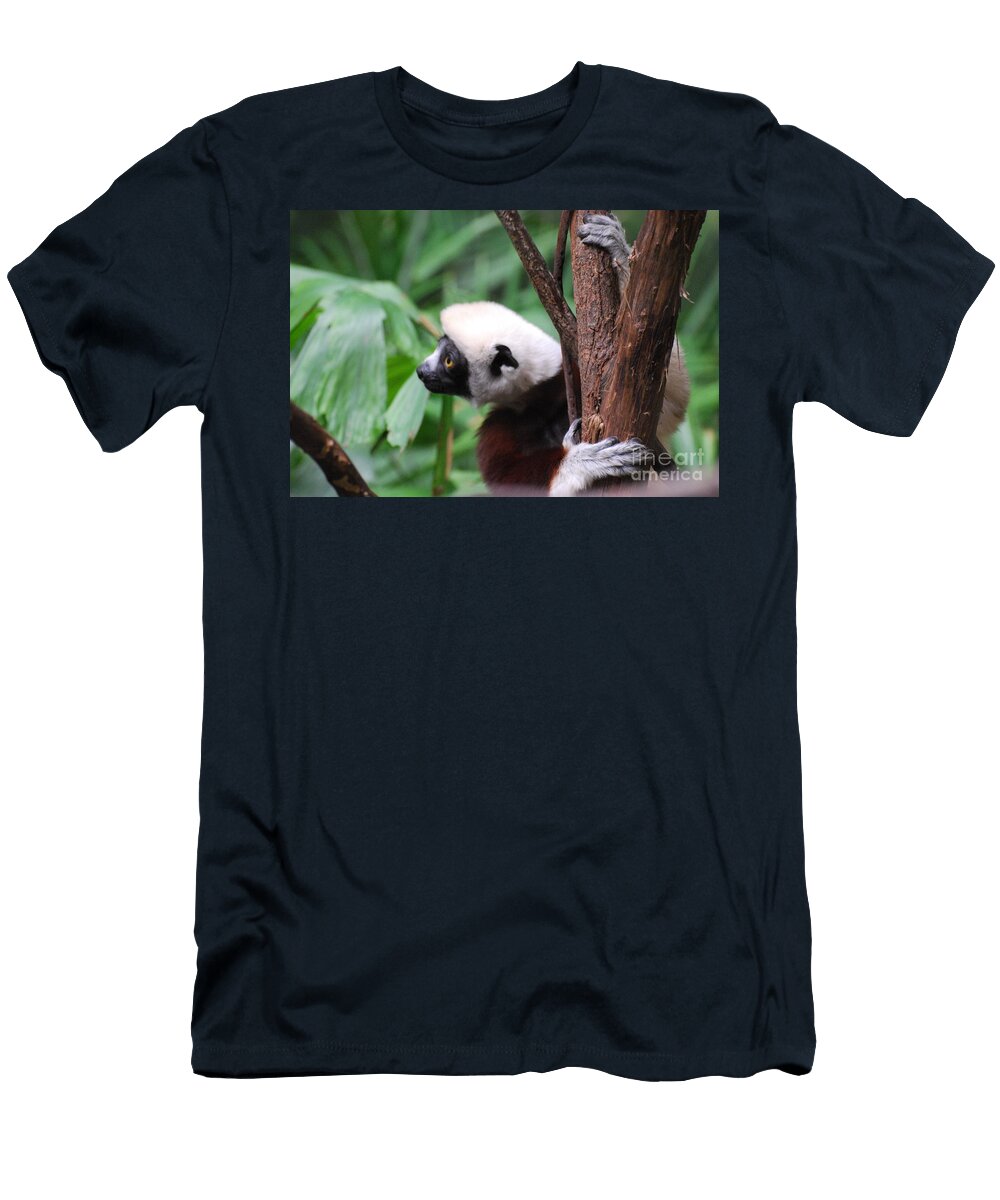 Cute Safika Lemur Dr Management T-Shirt