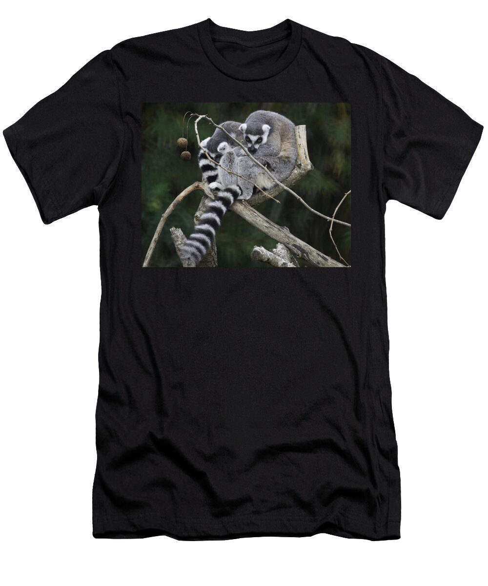 Lemur Look James Ekstrom T-Shirt