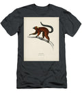 Red Ruffed Lemur Varecia Rubra Illustrated By Charles Dessalines D Orbigny 1806 1876 Celestial Images T-Shirt
