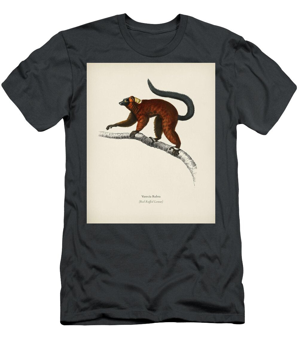 Red Ruffed Lemur Varecia Rubra Illustrated By Charles Dessalines D Orbigny 1806 1876 Celestial Images T-Shirt